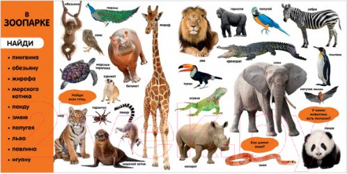 Изображение товара Развивающая книга CLEVER Фотокнига. Первые слова