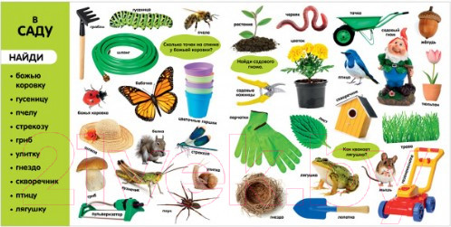 Изображение товара Развивающая книга CLEVER Фотокнига. Первые слова