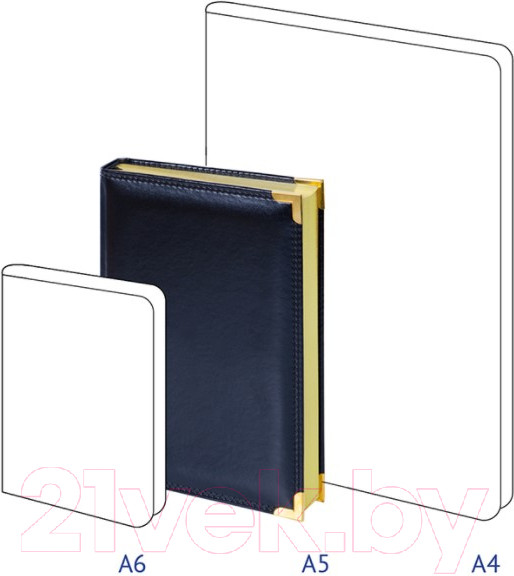 Изображение товара Ежедневник Delucci Недатированный / 89501 (160л)