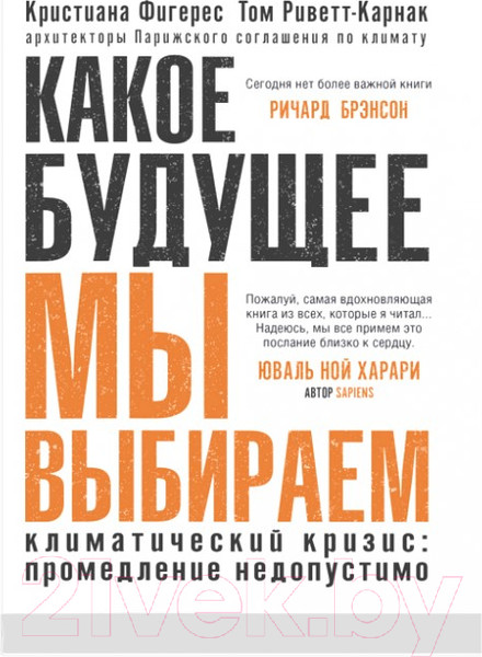 Изображение товара Книга Sindbad Какое будущее мы выбираем (Фигерес К., Риветт-Карнак Т.)