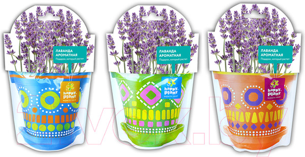 Изображение товара Набор для выращивания растений Happy Plant Лаванда ароматная / hpd-2