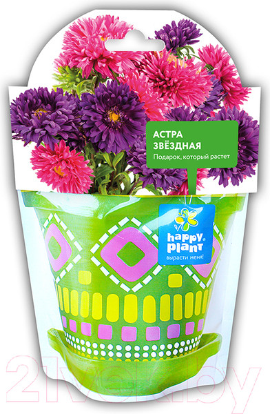 Изображение товара Набор для выращивания растений Happy Plant Астра звездная / hpd-6