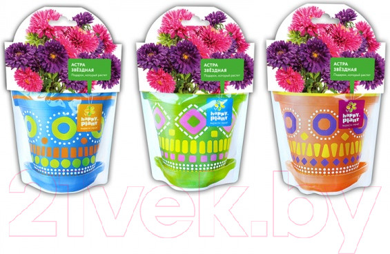 Изображение товара Набор для выращивания растений Happy Plant Астра звездная / hpd-6