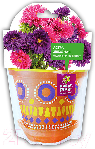 Изображение товара Набор для выращивания растений Happy Plant Астра звездная / hpd-6