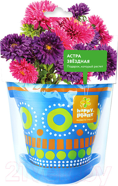 Изображение товара Набор для выращивания растений Happy Plant Астра звездная / hpd-6