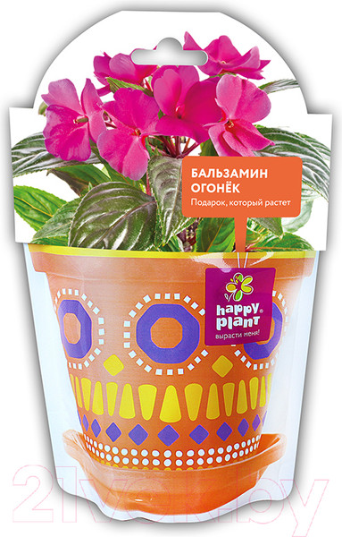 Изображение товара Набор для выращивания растений Happy Plant Бальзамин огонек / hpd-3