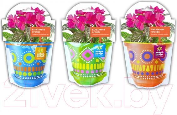 Изображение товара Набор для выращивания растений Happy Plant Бальзамин огонек / hpd-3
