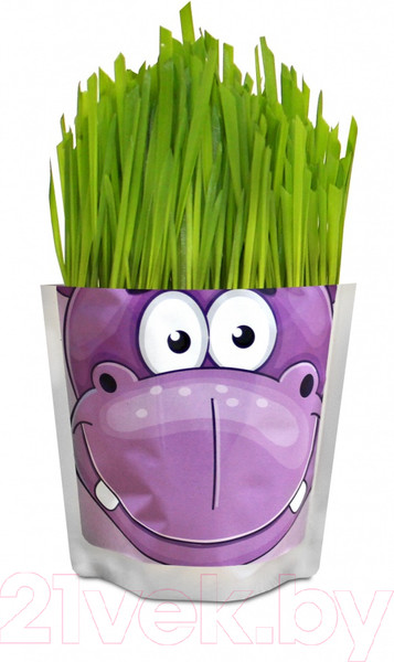 Изображение товара Набор для выращивания растений Happy Plant Бегемот / hp-44