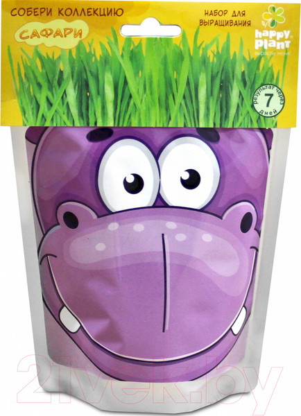 Изображение товара Набор для выращивания растений Happy Plant Бегемот / hp-44