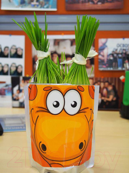 Изображение товара Набор для выращивания растений Happy Plant Жираф / hp-45