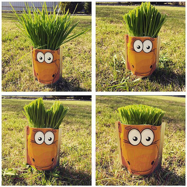 Изображение товара Набор для выращивания растений Happy Plant Жираф / hp-45