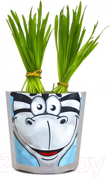 Изображение товара Набор для выращивания растений Happy Plant Зебра / hp-46
