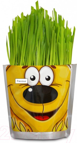 Изображение товара Набор для выращивания растений Happy Plant Львенок / hp-47