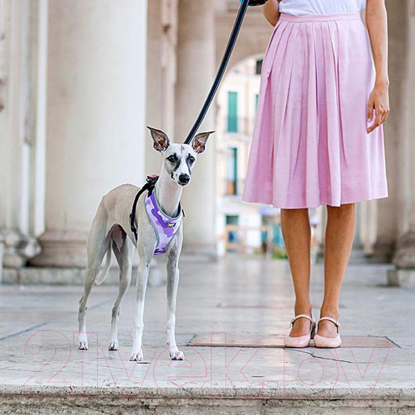 Изображение товара Шлея-жилетка для животных Ferplast Nikita Fashion P (XS, фиолетовый)