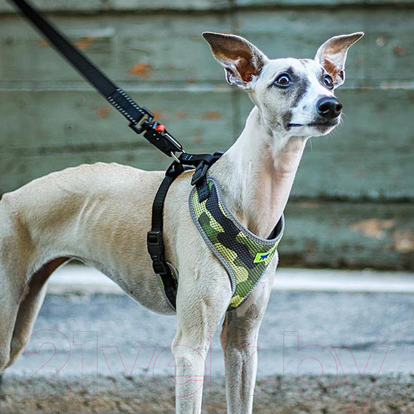 Изображение товара Шлея-жилетка для животных Ferplast Nikita Fashion P (M, зеленый)