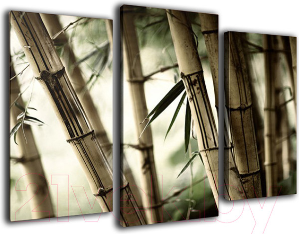 Изображение товара Картина модульная Arthata m-000769 (90x60)