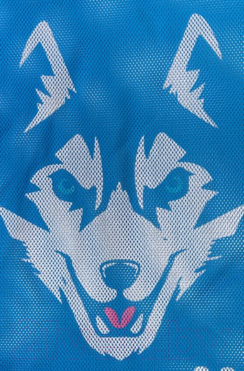 Изображение товара Мешок для обуви Mad Wave Husky (синий)