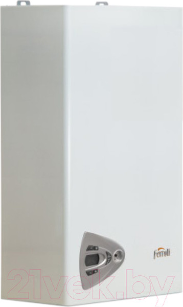 Изображение товара Газовый котел Ferroli Vitabel F 40