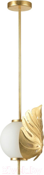 Изображение товара Потолочный светильник Odeon Light Jungle 4864/1