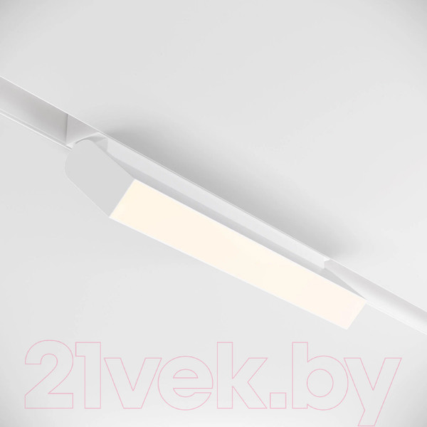 Изображение товара Трековый светильник Arte Lamp Basis TR013-2-20W4K-W