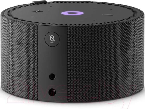 Изображение товара Умная колонка Яндекс Станция Новая Мини YNDX-00021K (черный)