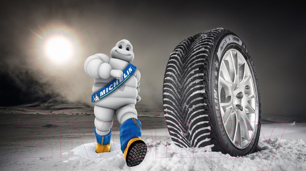 Изображение товара Зимняя шина Michelin Pilot Alpin 5 255/40R21 102V