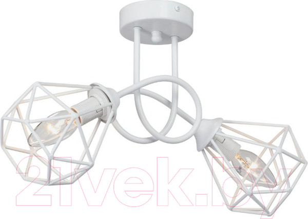 Изображение товара Потолочный светильник Vitaluce V4930-0/2PL