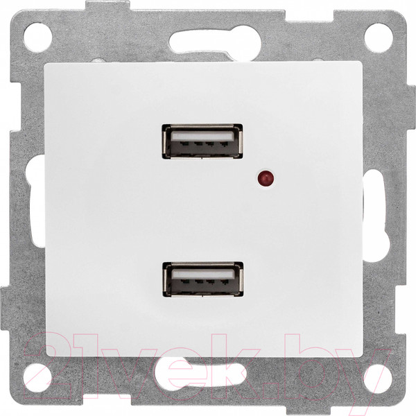 Изображение товара Розетка Gusi Electric Bravo С10USB2-001 (белый)