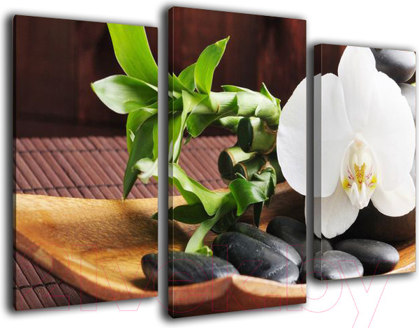 Изображение товара Картина модульная Arthata m-002443 (120x80)