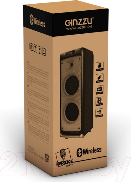 Изображение товара Минисистема Ginzzu GM-205