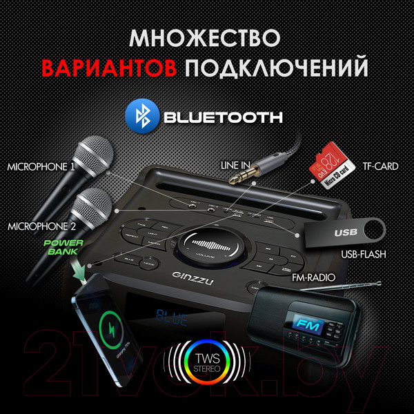 Изображение товара Минисистема Ginzzu GM-205