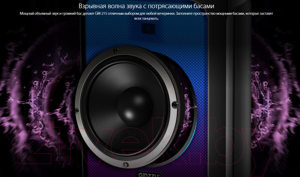 Изображение товара Портативная колонка Ginzzu GM-215