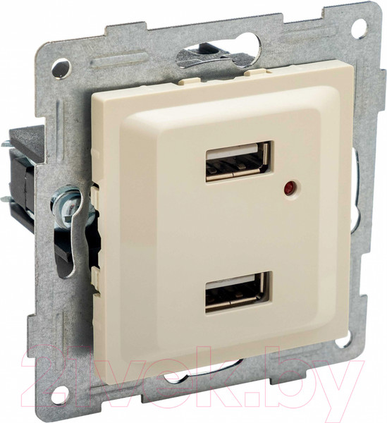 Изображение товара Розетка Gusi Electric Ugra С11USB2-003 (бежевый)