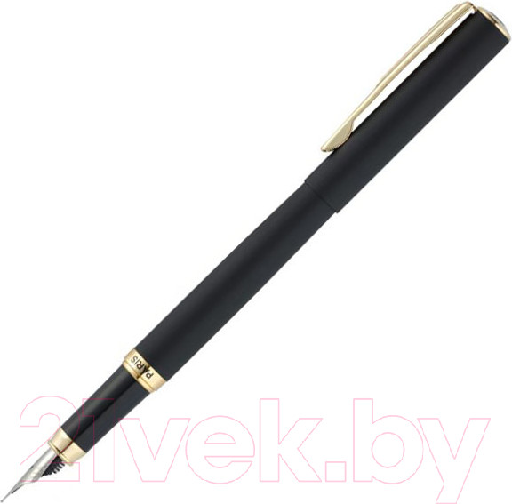 Изображение товара Ручка перьевая имиджевая Pierre Cardin Eco / PC0867FP