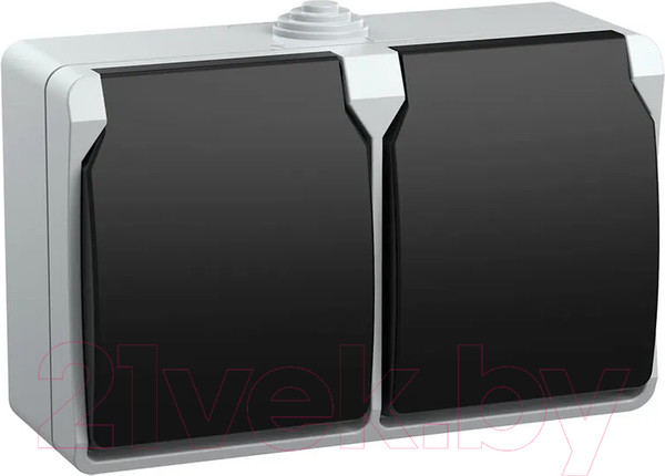 Изображение товара Розетка IEK Форс ERS22-K03-16-54-DC