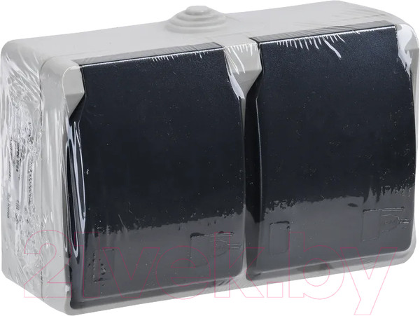 Изображение товара Розетка IEK Форс ERS22-K03-16-54-DC