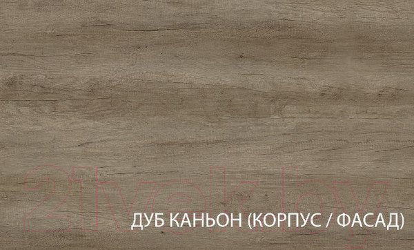 Изображение товара Тумба Anrex Kaylas 2V4S (дуб каньон/силк шитаке)