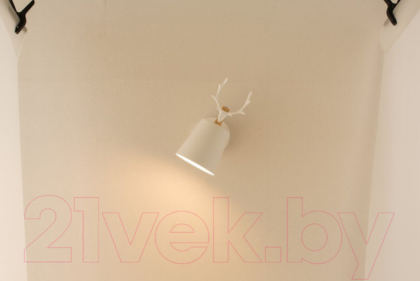 Изображение товара Спот Home Light Астерия B133-W (белый)