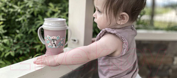 Изображение товара Поильник Lovi 360° Wild Soul / 1/604 (250мл, розовый)