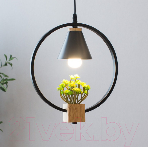 Изображение товара Потолочный светильник Home Light Астерия A042-2-В (черный)