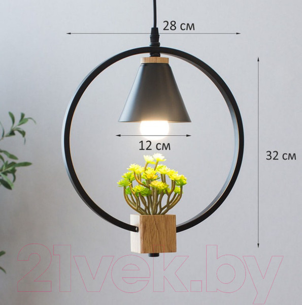 Изображение товара Потолочный светильник Home Light Астерия A042-2-В (черный)