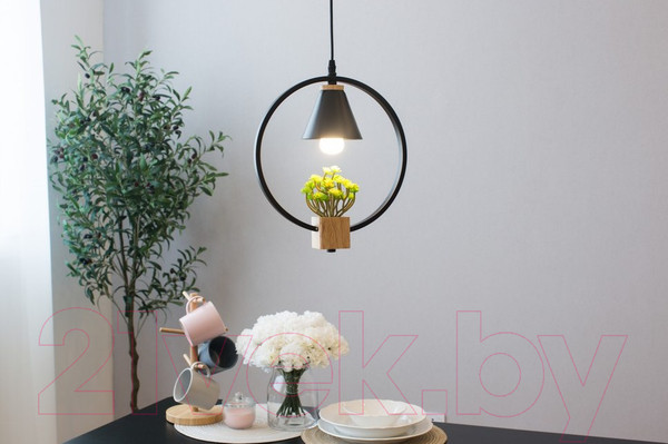 Изображение товара Потолочный светильник Home Light Астерия A042-2-В (черный)