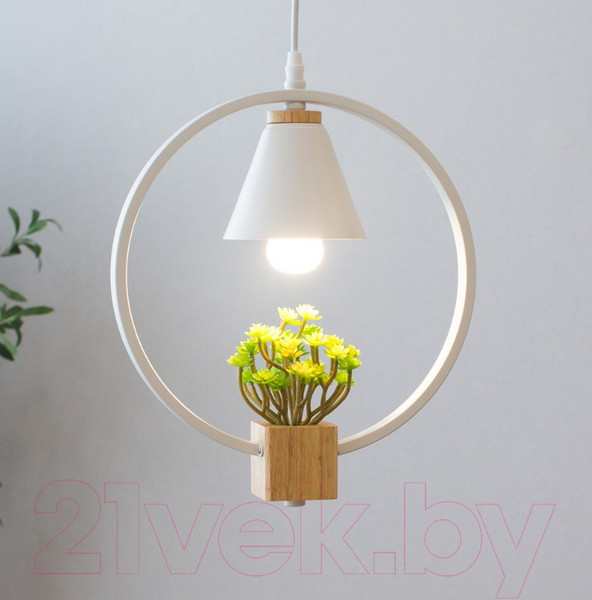 Изображение товара Потолочный светильник Home Light Астерия A042-2-W (белый)