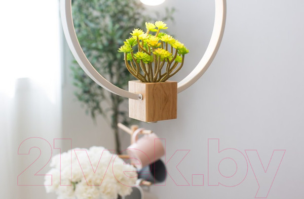 Изображение товара Потолочный светильник Home Light Астерия A042-2-W (белый)