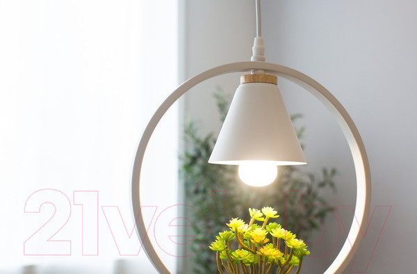 Изображение товара Потолочный светильник Home Light Астерия A042-2-W (белый)