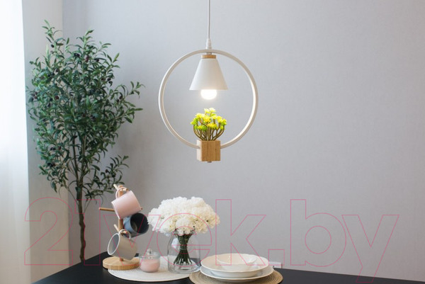 Изображение товара Потолочный светильник Home Light Астерия A042-2-W (белый)