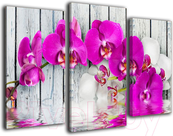 Изображение товара Картина модульная Arthata m-002448 (120x80)