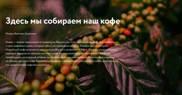 Изображение товара Кофе растворимый Жокей Триумф / Nd-00001829 (280г)