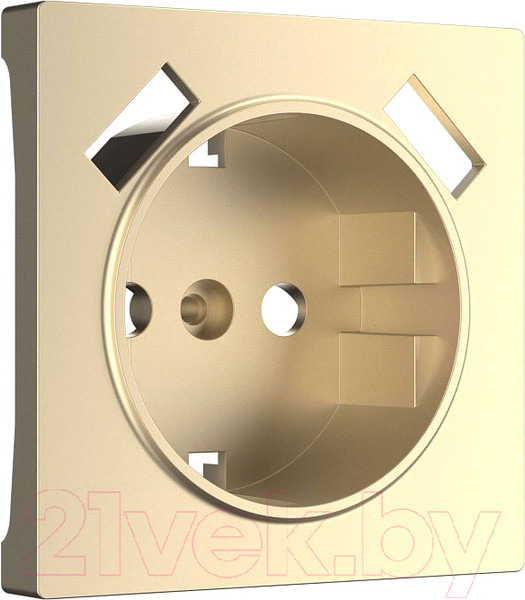 Изображение товара Лицевая панель Werkel W1179511 / a050854 (шампань)