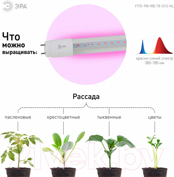 Изображение товара Светильник для растений ЭРА FITO-9W-RB-Т8-G13-NL / Б0042986